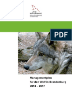 Wolfsmanagementplan Brandenburg 2013-2017