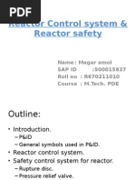 Reactor Control System & Reactor Safety