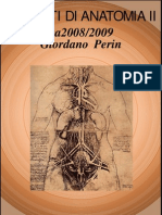 Anatomia II-Giordano Perin