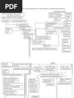 Grand Case NP 3 Laparoscopic Cholecystectomy
