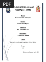 La Enseñanza Del Español en El Nivel Básico