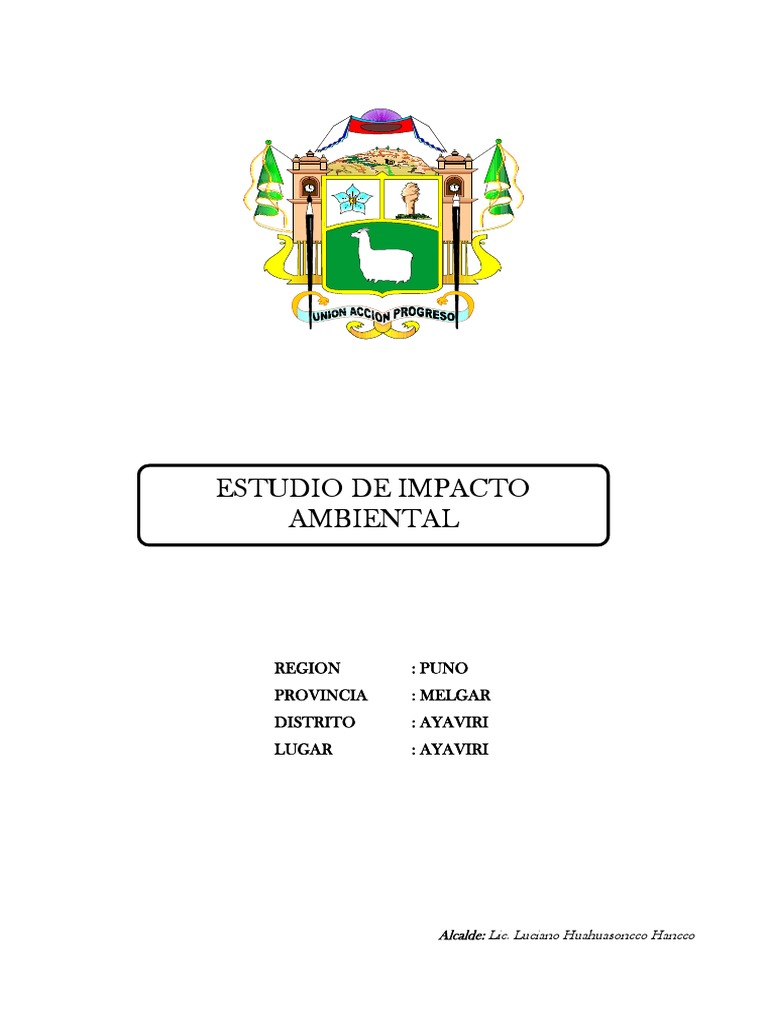 Impacto Ambiental en Ayaviri: Agua y Desagüe | PDF | Evaluación de ...