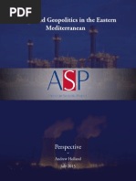 Energy and Geopolitics in the Eastern Mediterannean