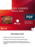 Control Experto