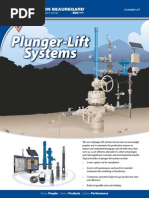 Plunger Lift Brochure