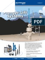 Plunger Lift Brochure