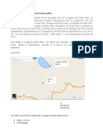 Informe Ambiental Laguna Pedro Pablo