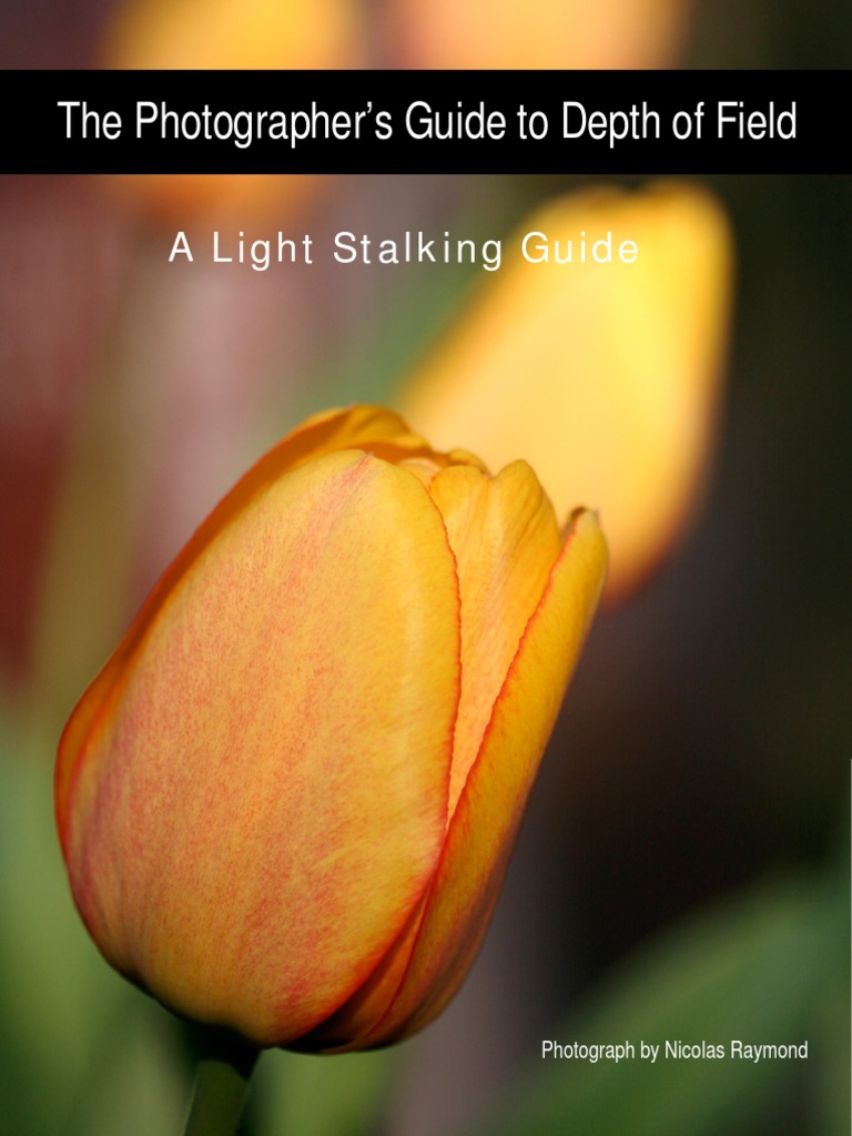 Mastering Depth of Field in Photography | PDF