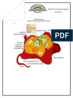 UNIVERSIDADE PEDAGÓGICA DE MOÇAMBIQUE.docx