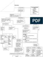 pg36-37 of Pneumothorax Case Study