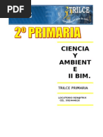 CIENC Y AMBT  II BIM