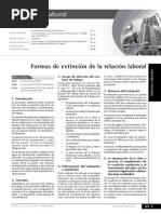 CL10 Formas de Extinción de La Relación Laboral