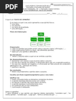 Texto de Opinião - Informação