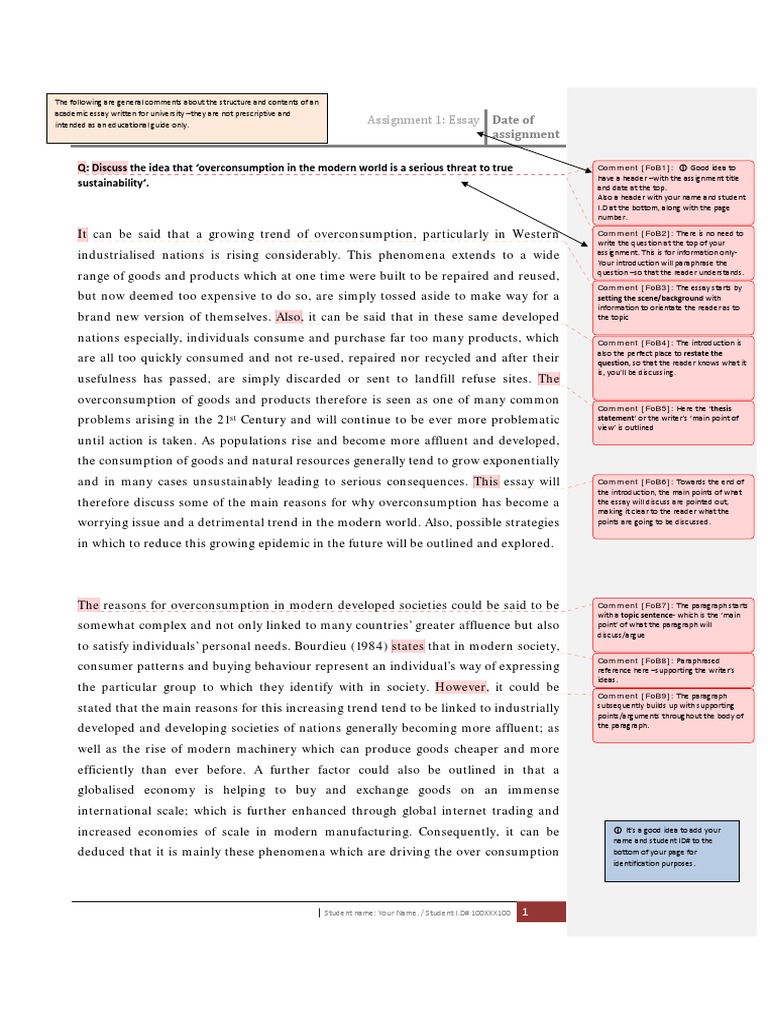 essay on consumerism