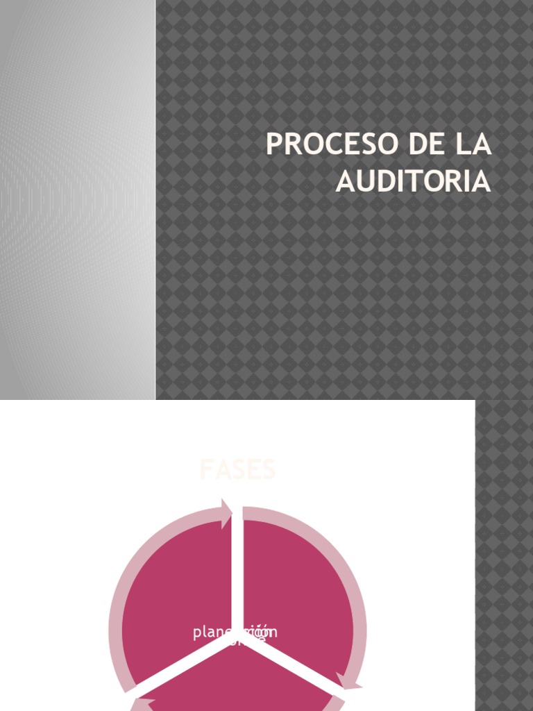 Proceso de La Auditoria | PDF | Auditoría financiera | Business