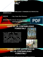 Contabilidad Forestal