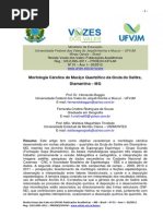 BAGGIO. Morfologia Cárstica do Maciço Quartzítico da Gruta do Salitre,.pdf