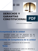 Derechos y Garantìas Constitucionales