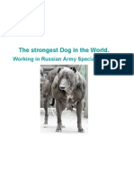 The strongest Dog in the World