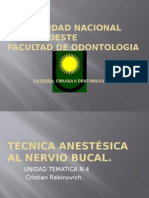 Anestesia Al Nervio Bucal