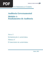 O Processo de Auditoria