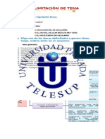 Delimitacion de TDelimitacion de Tema - Docxema