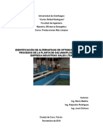 informe producciones mas limpias.docx