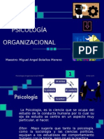 Psicologia Organizacional Presentacion Powerpoint