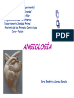 ANGIOLOGÍA.pdf