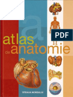 Atlas Anatomie