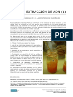 68 Extraccion de ADN (Experimento Ambiguo)