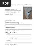 Ficha de Intervenção - Catarina