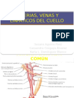 Arterias, Venas y Linfas Del Cuello