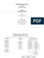 Actividad 14 Organizadores Gráficos Editado