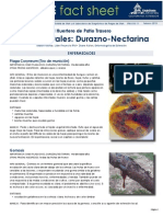 Plagas Del Durazno PDF