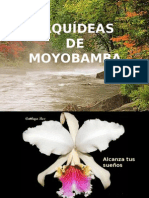 ORQUÍDEAS  DE MOYOBAMBA