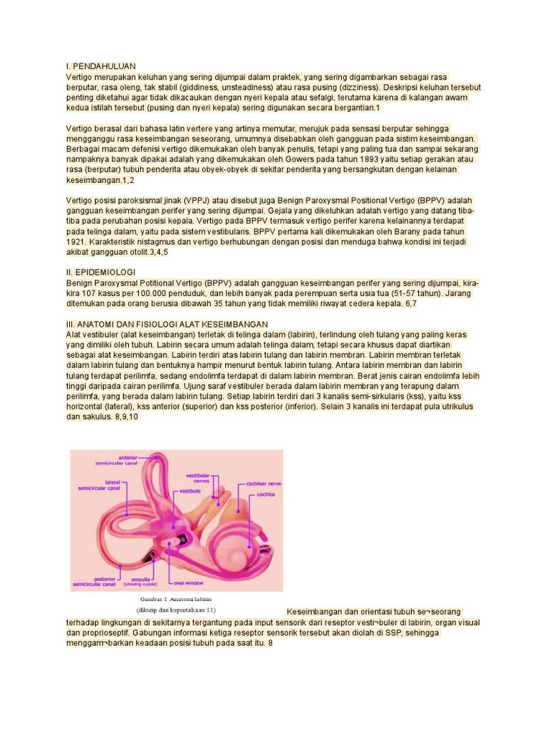 Vertigo (BPPV) | PDF