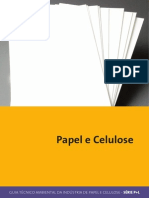 Série P+L  Papel e Celulose