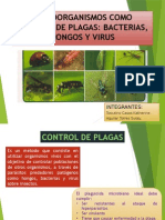 Microorganismos Como Control de Plagas