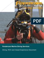 Diving ROV Experience Summary