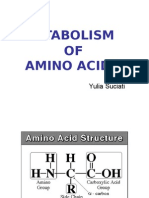 Metabolism OF Amino Acids: Yulia Suciati