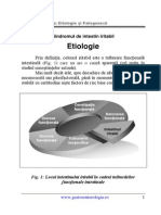 Intestin Iritabil Etiopatogeneza