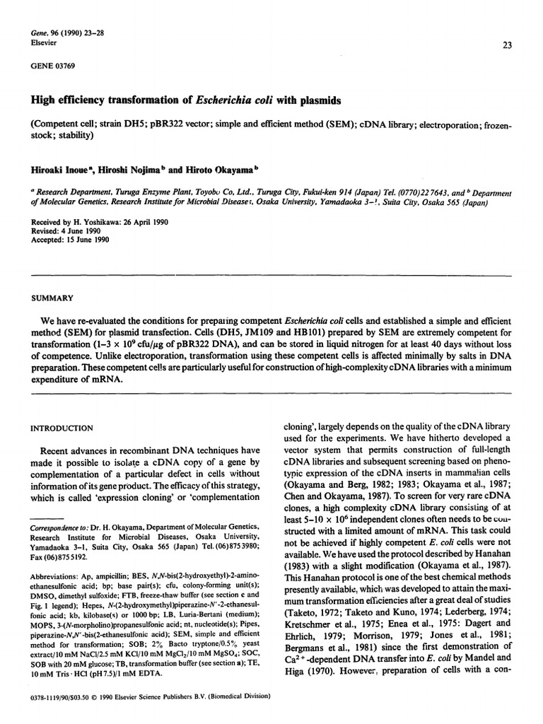 High Efficiency Transformation of Escherichia Coli With Plasmids | PDF ...