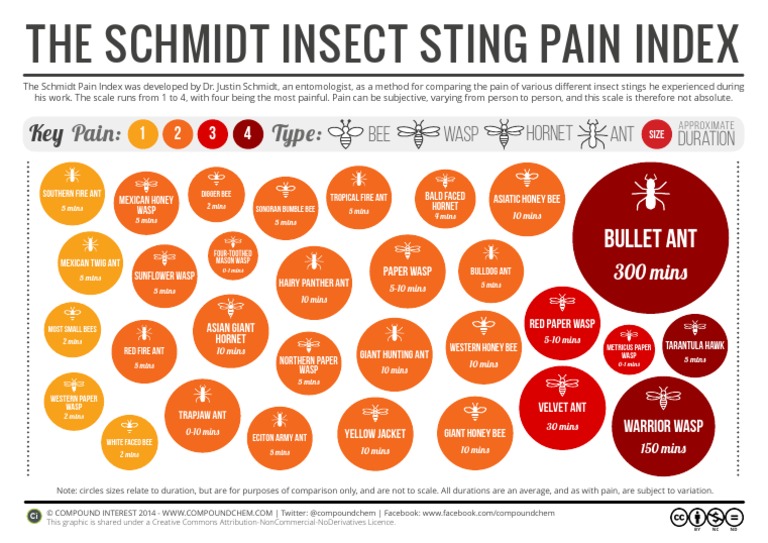 The Schmidt Insect Sting Pain Index PDF
