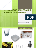 RECUERSOS MINERALES