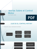 Teorías Sobre El Control Motor