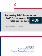 Improving BSO Services and SME Performance Through Cleaner Production