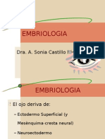 Embriologia Del Ojo Futura Medica