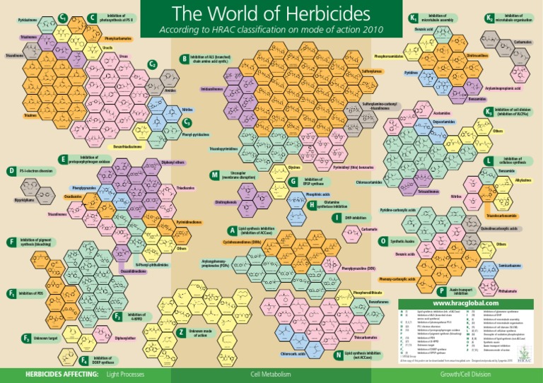 The World of Herbicides | PDF | Toxicants | Biosynthesis