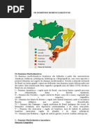 Ab Saber, Aziz Nacib. Dominios Morfoclimáticos